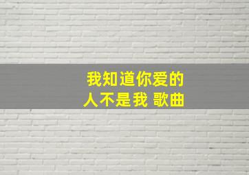 我知道你爱的人不是我 歌曲